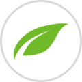Thrive Themes